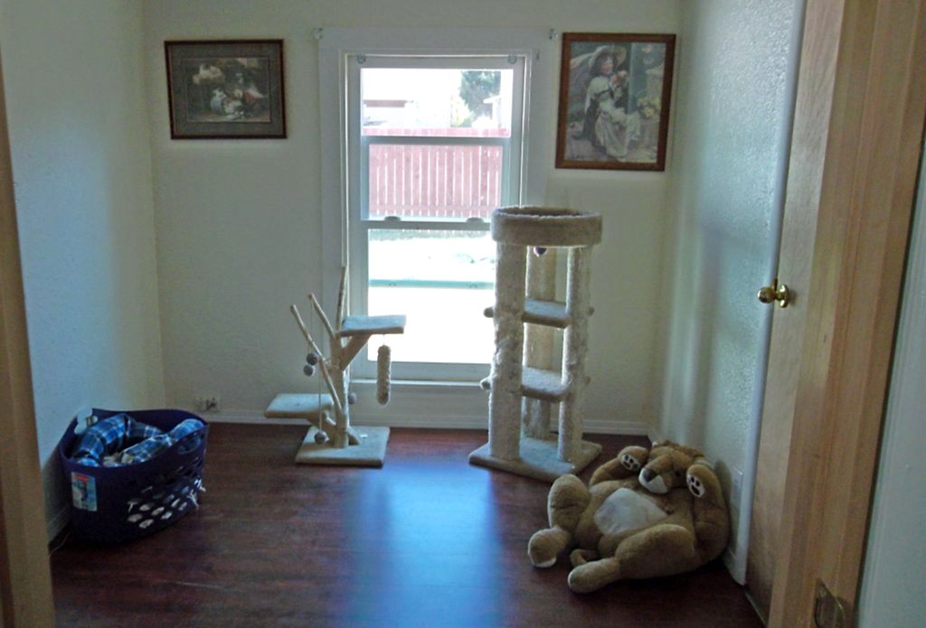 Photo of cat play room 